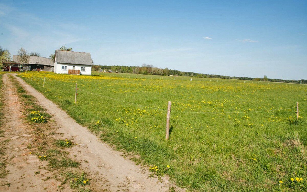 Sklypas Rietavo sav., Rietave, Atgimimo g. – nuotrauka 5