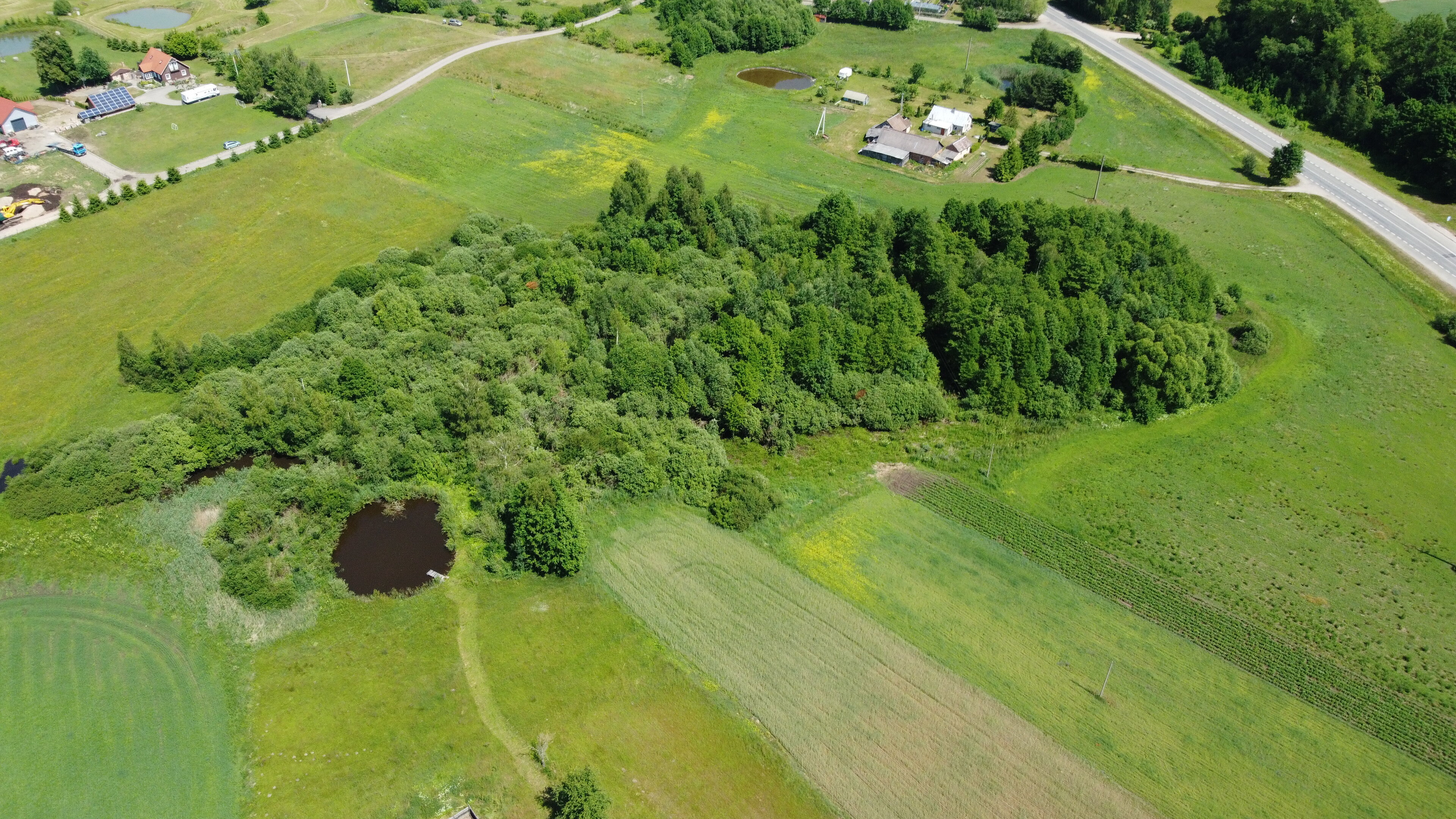 Sklypas Alytaus rajono sav., Maslaučiškėse, Beržų g. – nuotrauka 6