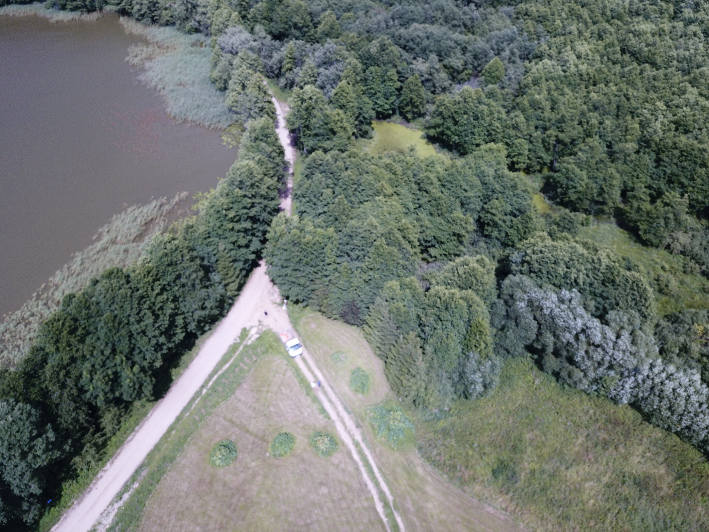 Sklypas Kaišiadorių rajono sav., Pašventyje – nuotrauka 4