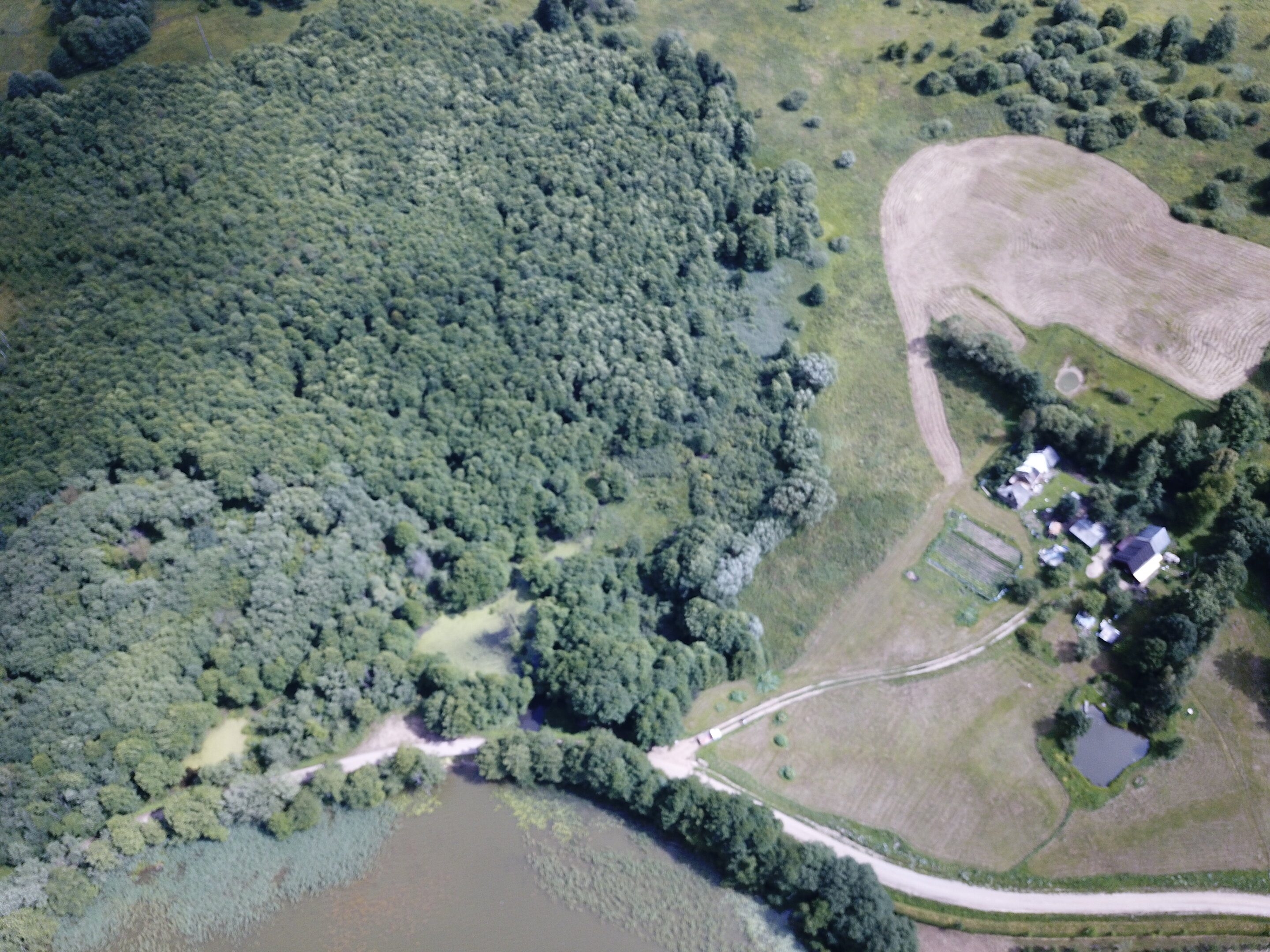 Sklypas Kaišiadorių rajono sav., Pašventyje – nuotrauka 6