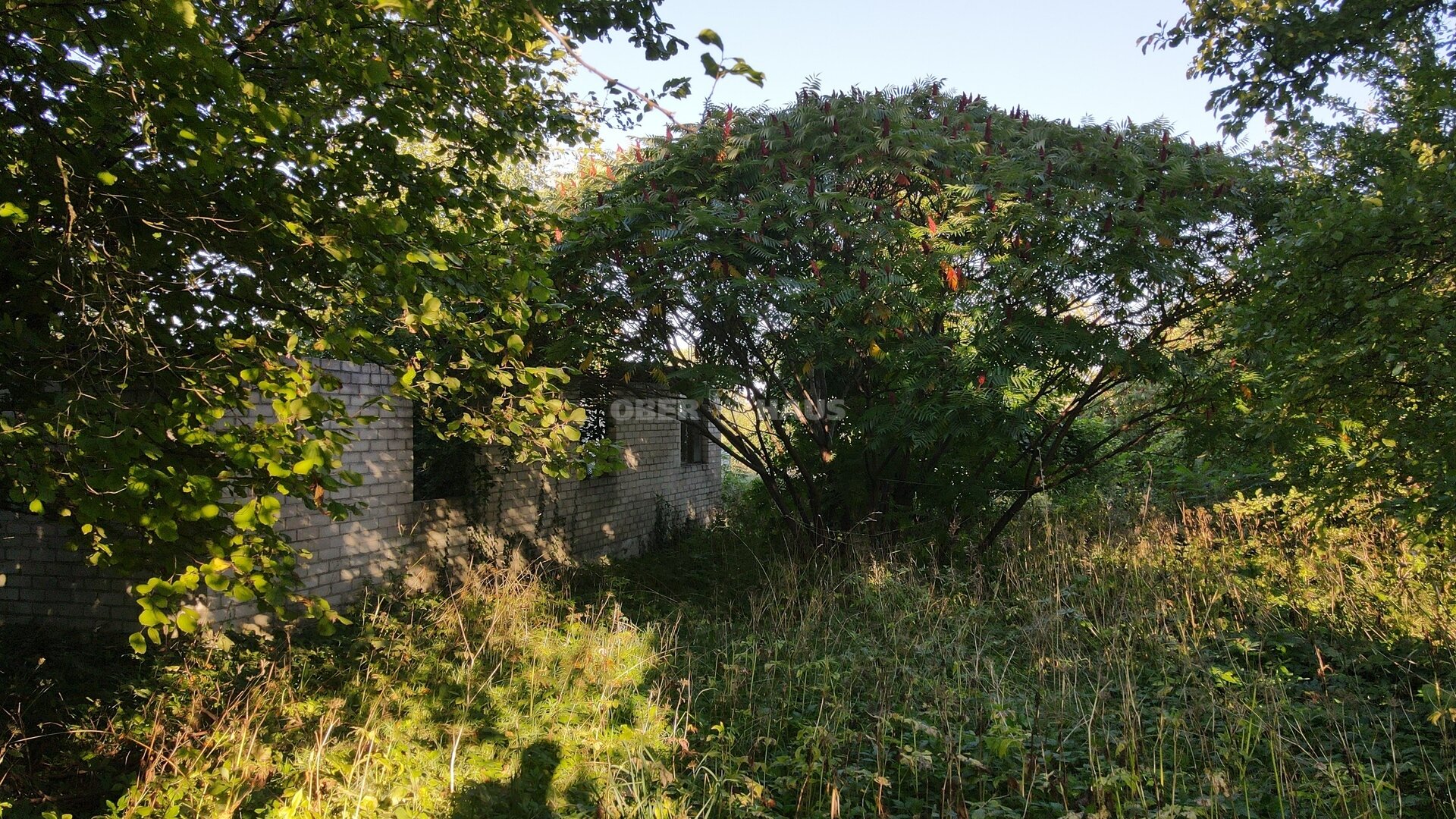 Sklypas Prienų rajono sav., Pakuonyje – nuotrauka 6