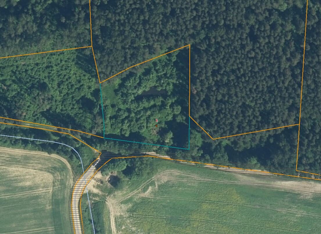 Sklypas Panevėžio rajono sav., Gėlainiuose – nuotrauka 4