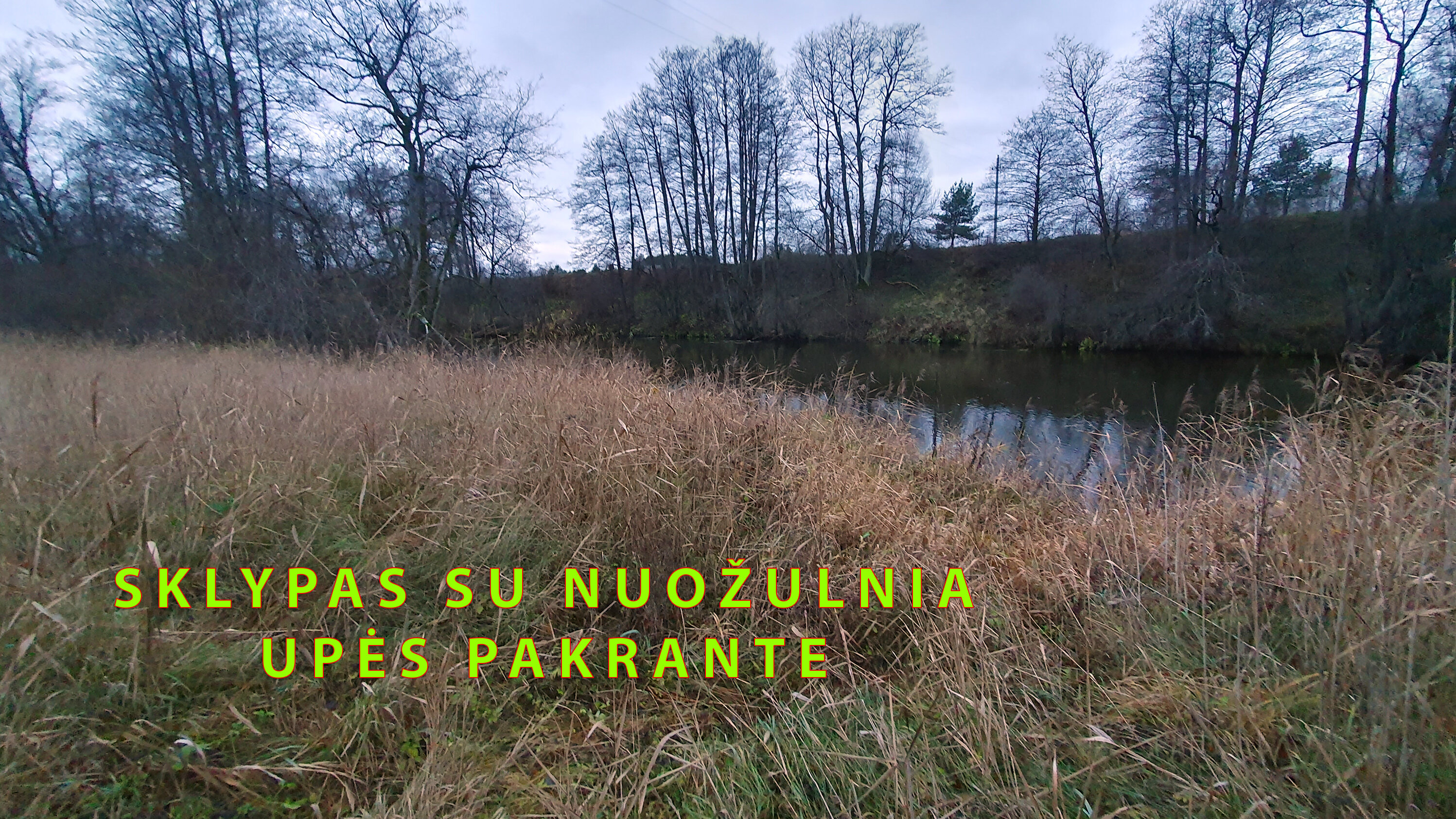 Sklypas Varėnos rajono sav., Mardasave, Glyno g. – nuotrauka 3