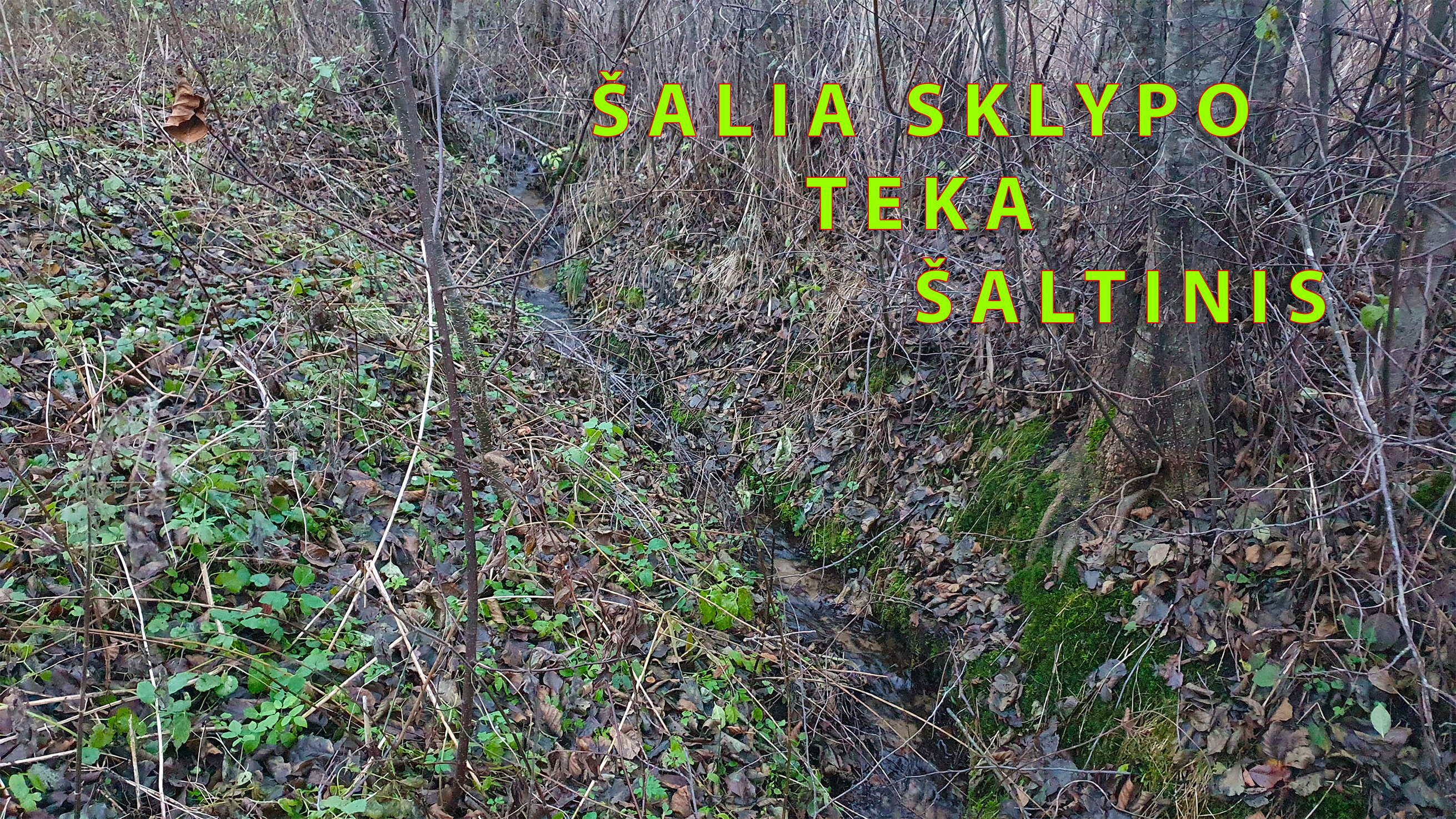Sklypas Varėnos rajono sav., Mardasave, Glyno g. – nuotrauka 4