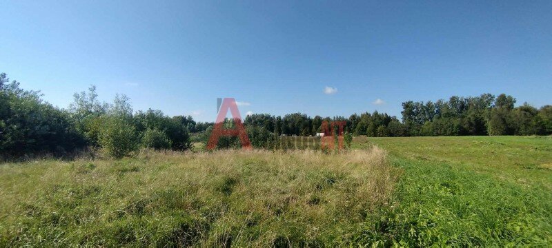 Sklypas Klaipėdos rajono sav., Kretingalėje, Klevų g. – nuotrauka 6