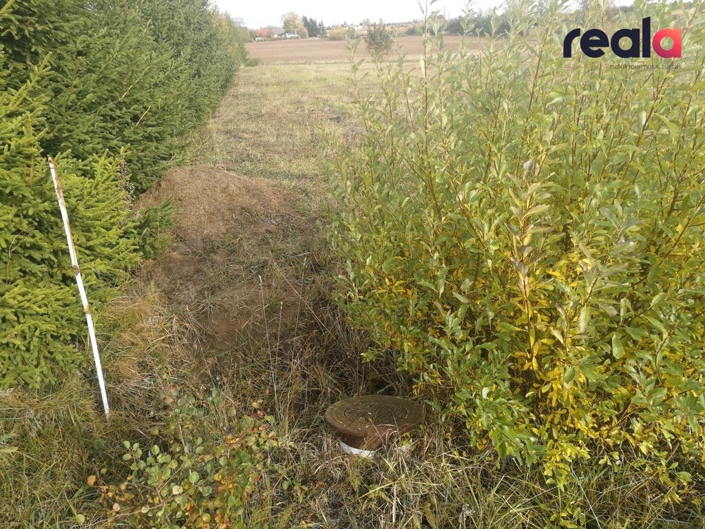 Участок Alytaus rajono sav., Užubaliuose – изображение 6