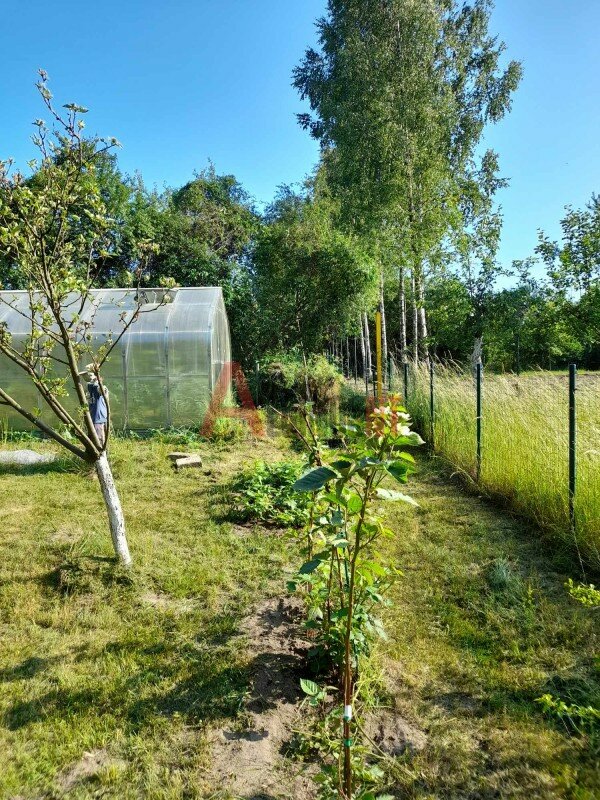 Sklypas Kretingos rajono sav., Daubėnuose, Kriaušių g. – nuotrauka 6
