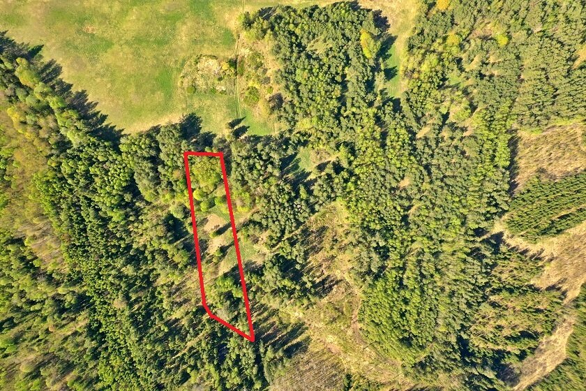 Sklypas Zarasų rajono sav., Liminiuose – nuotrauka 3