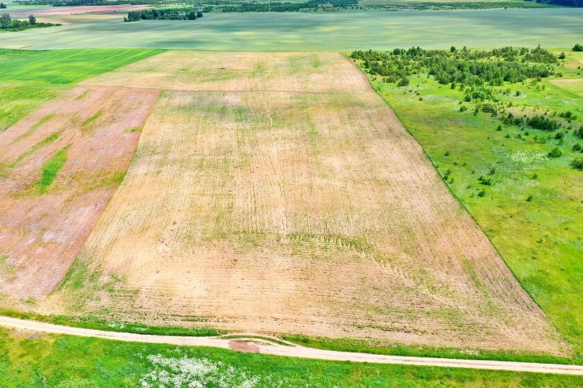 Sklypas Vilniaus rajono sav., Juodbaliuose – nuotrauka 5