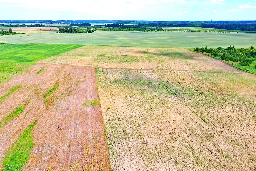 Sklypas Vilniaus rajono sav., Juodbaliuose – nuotrauka 6