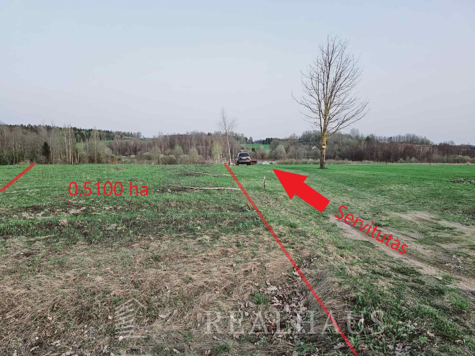 Sklypas Vilniaus rajono sav., Rutkiškėse, Rutkiškių g. – nuotrauka 6