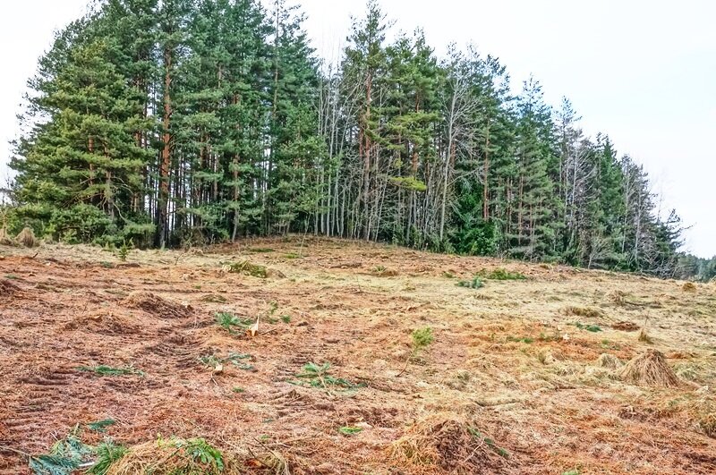 Sklypas Ignalinos rajono sav., Rukšiškėje – nuotrauka 5