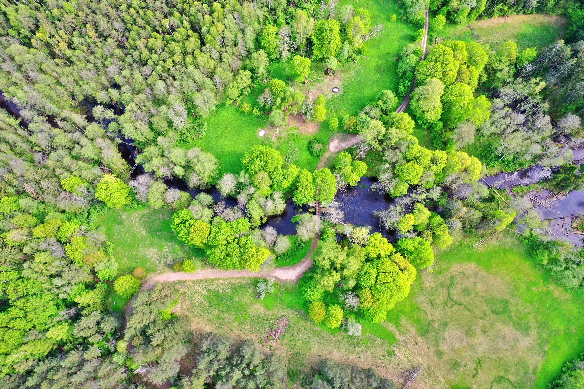 Sklypas Zarasų rajono sav., Marimante – nuotrauka 3