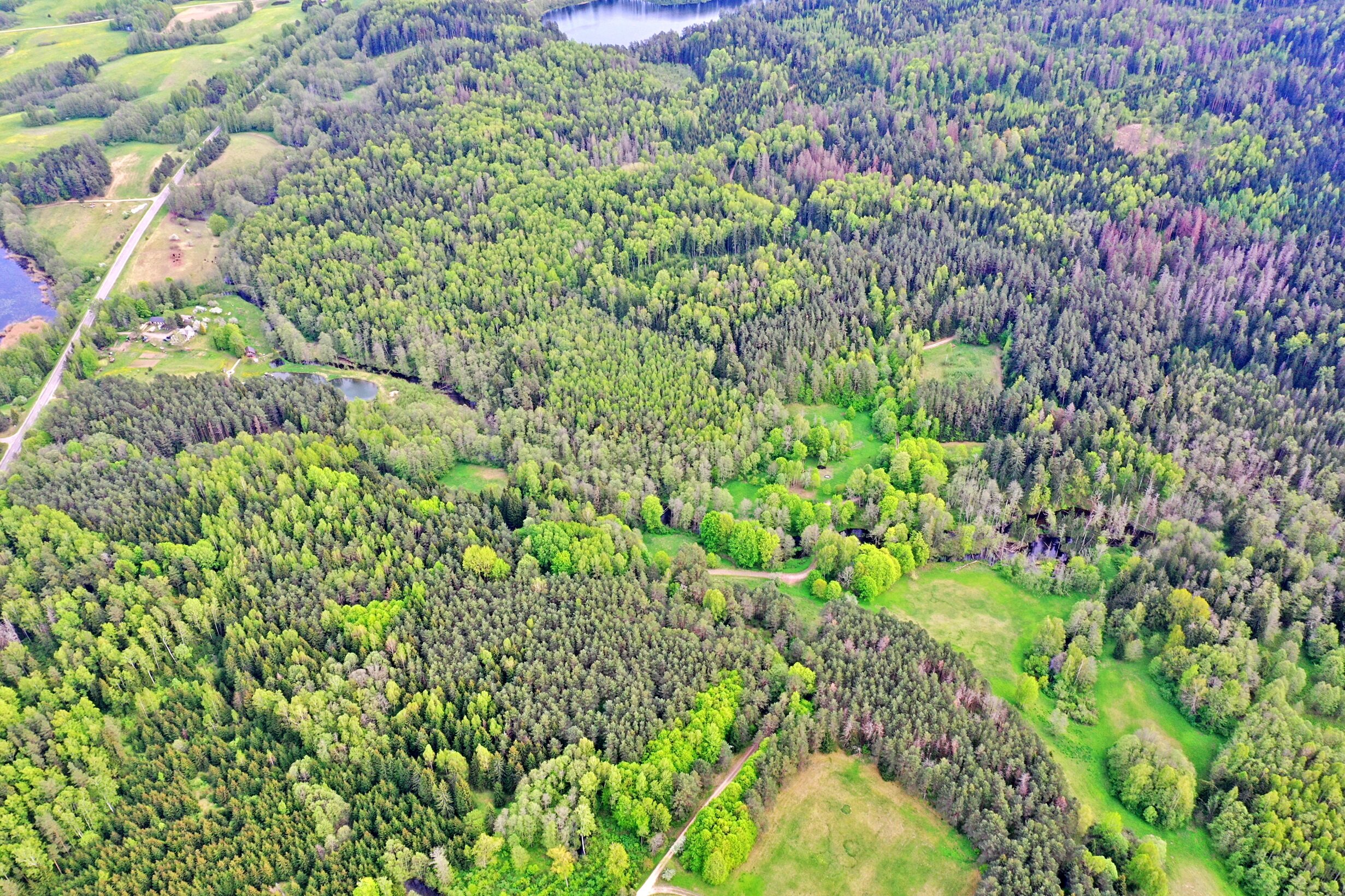 Sklypas Zarasų rajono sav., Marimante – nuotrauka 4
