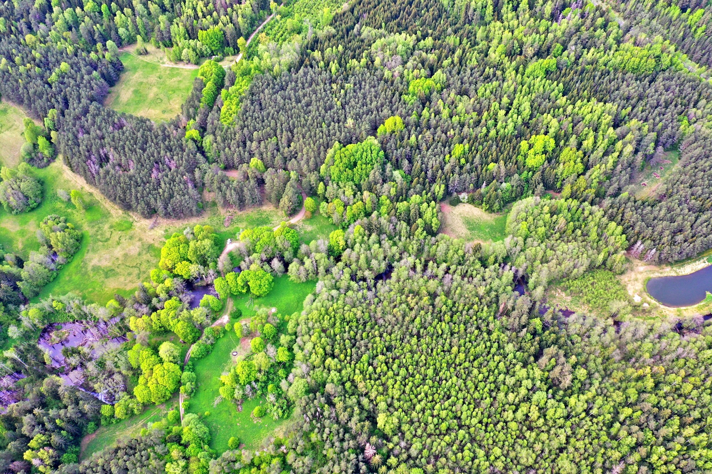 Sklypas Zarasų rajono sav., Marimante – nuotrauka 5