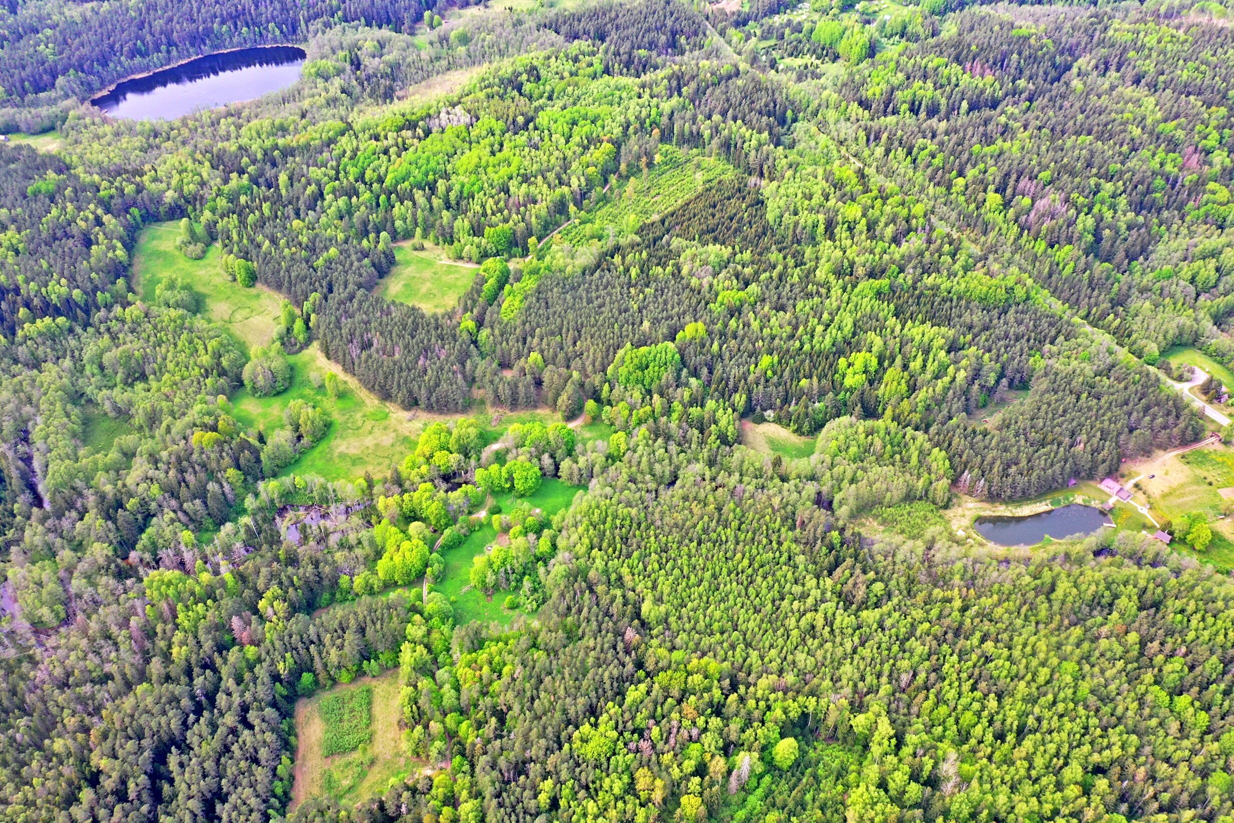 Sklypas Zarasų rajono sav., Marimante – nuotrauka 6
