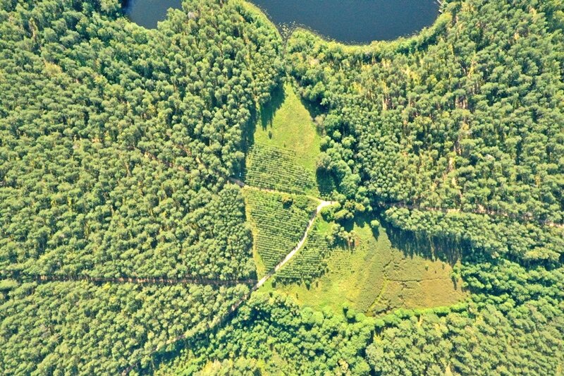 Sklypas Ignalinos rajono sav., Tabore – nuotrauka 5