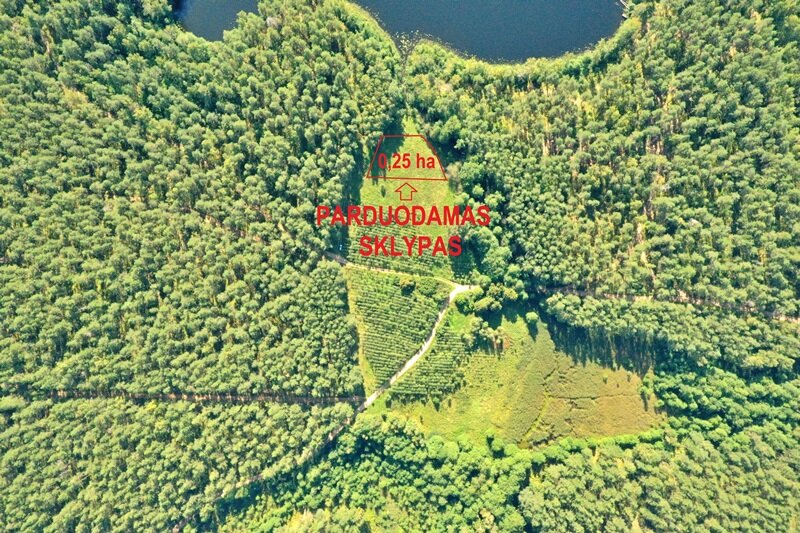 Sklypas Ignalinos rajono sav., Tabore – nuotrauka 6