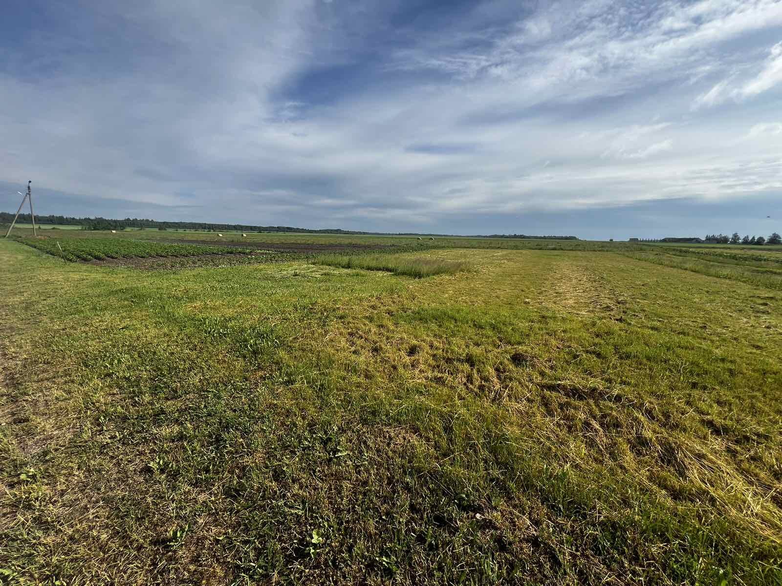 Sklypas Šiaulių rajono sav., Briduose, Miesmedžio g. – nuotrauka 4