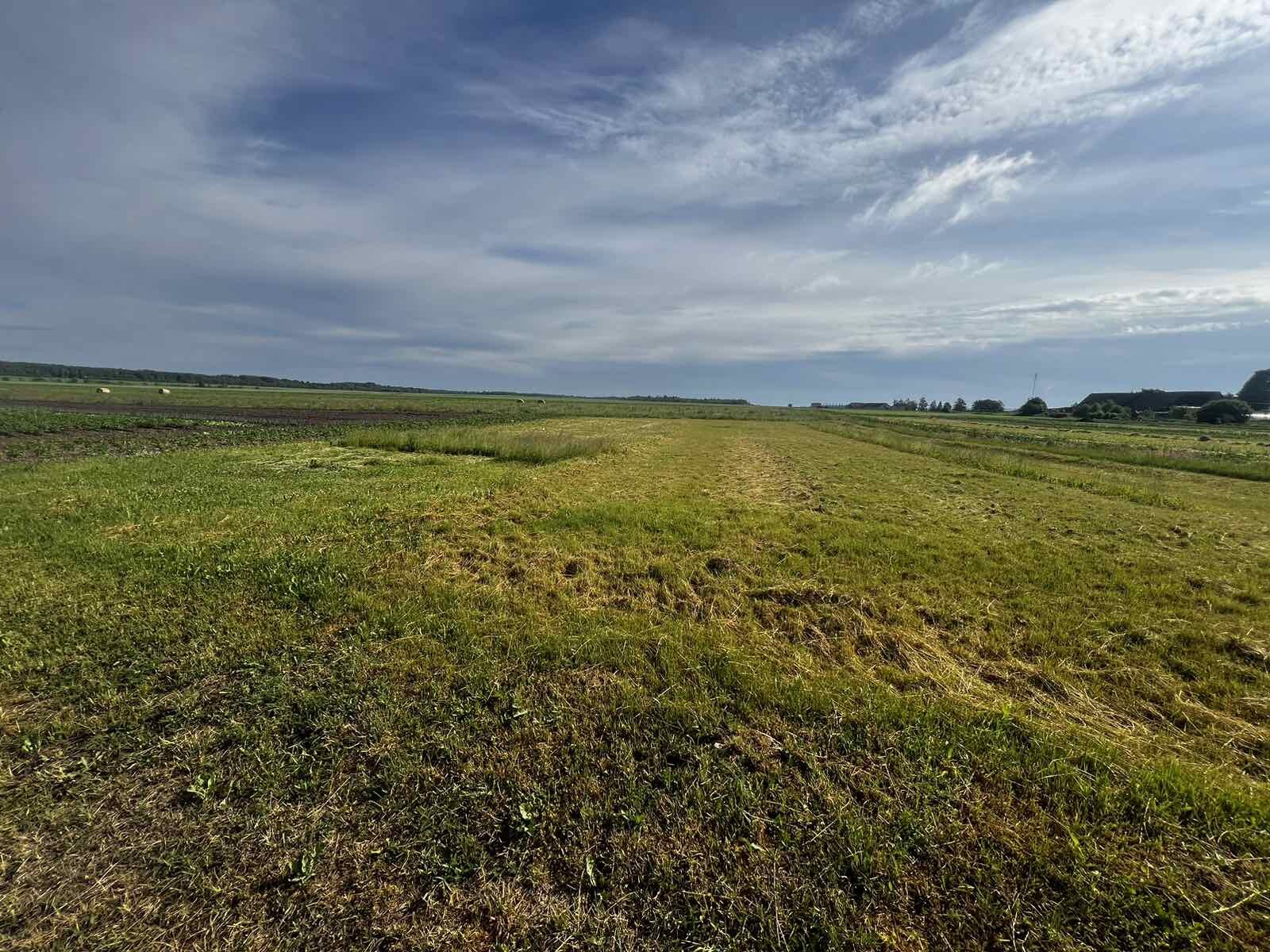 Sklypas Šiaulių rajono sav., Briduose, Miesmedžio g. – nuotrauka 5