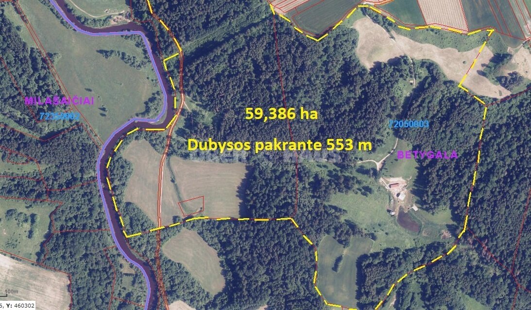 Sklypas Raseinių rajono sav., Vaškučiuose – nuotrauka 4