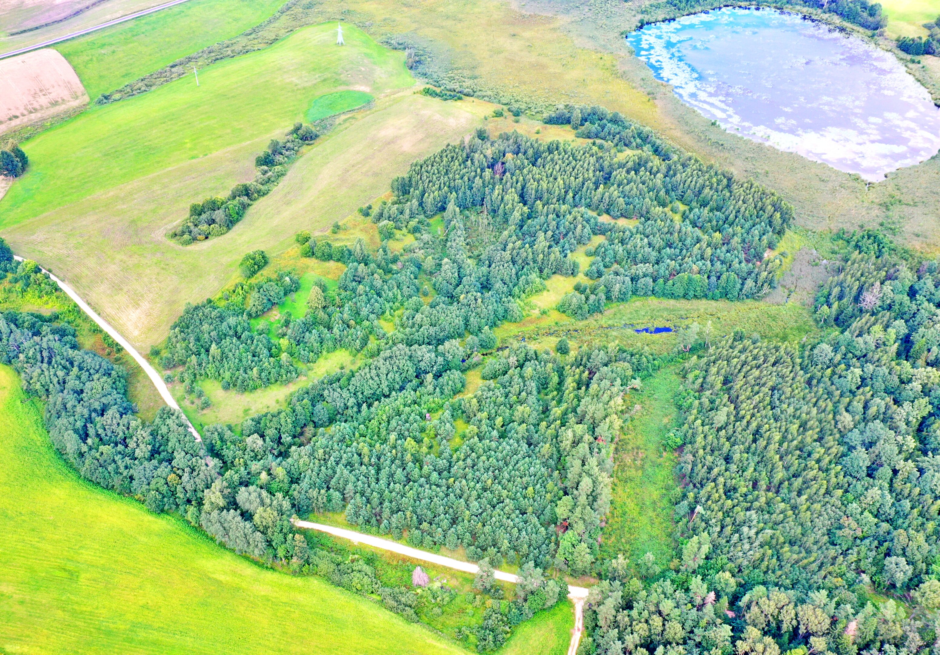 Sklypas Molėtų rajono sav., Mokyliuose – nuotrauka 4