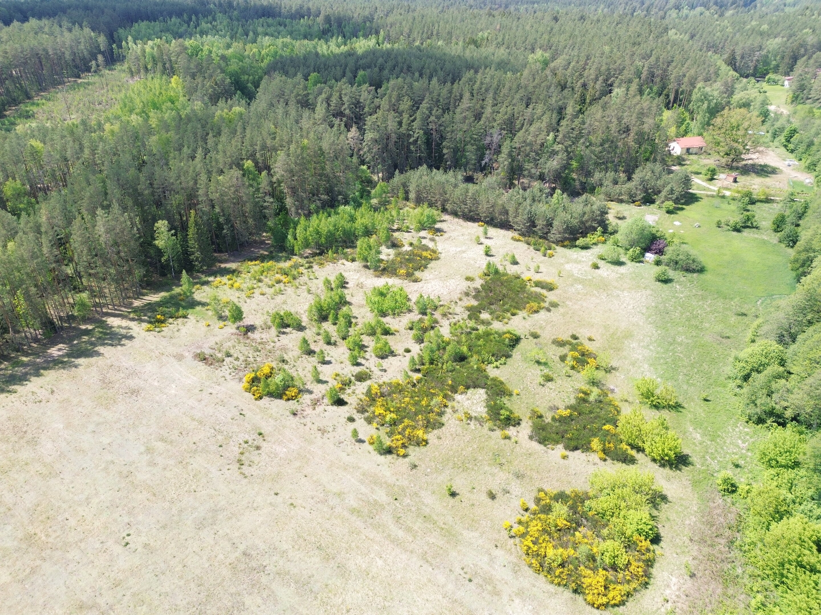 Участок Druskininkų sav., Gailiūnuose, Gailiūnų g. – изображение 3