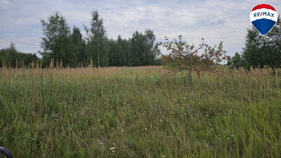 Land Panevėžyje, Molainiuose, Linų g. – image 1