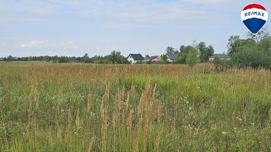 Land Panevėžyje, Molainiuose, Linų g. – image 4