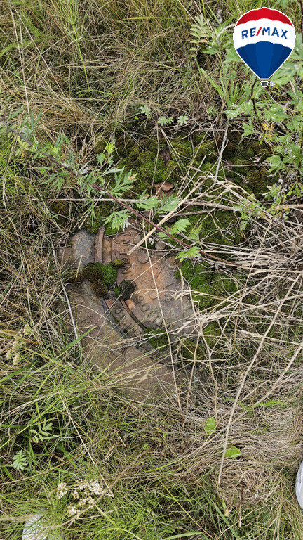 Land Panevėžyje, Molainiuose, Linų g. – image 6