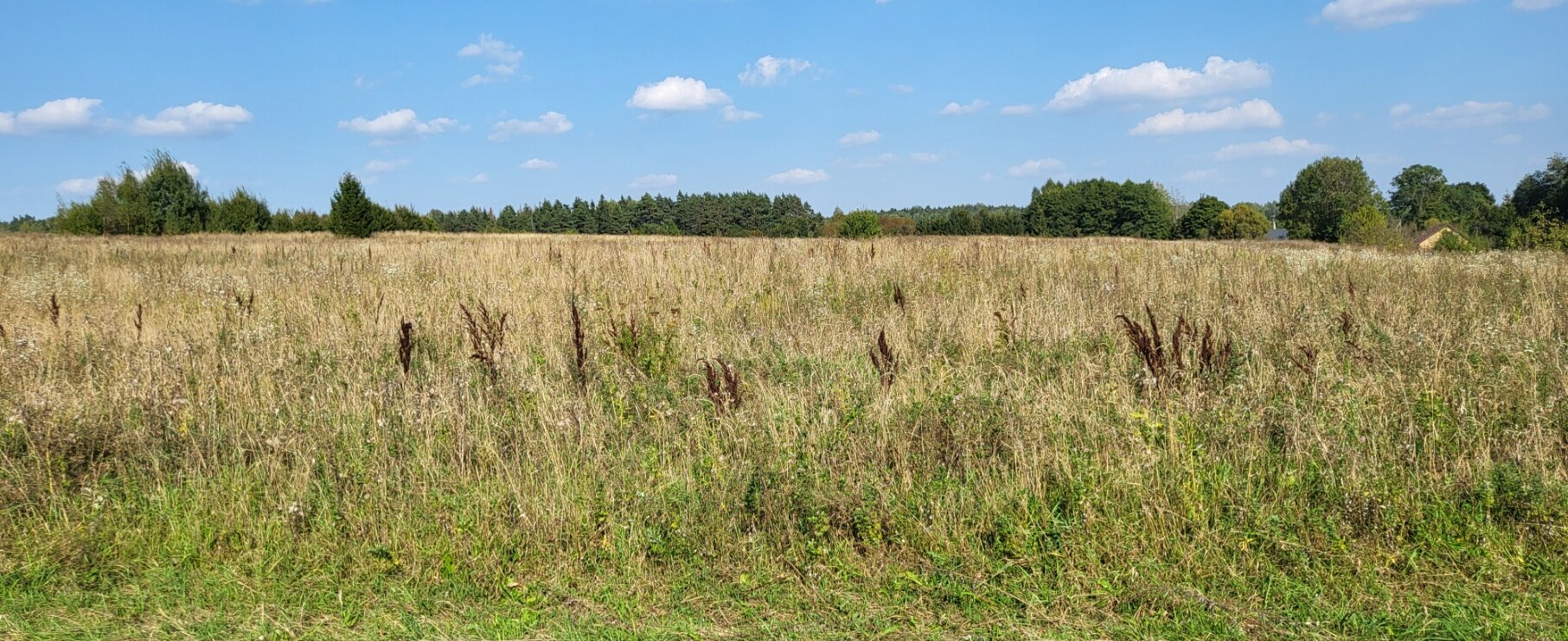 Sklypas Vilniaus rajono sav., Rakonyse, Piligrimų g. – nuotrauka 3