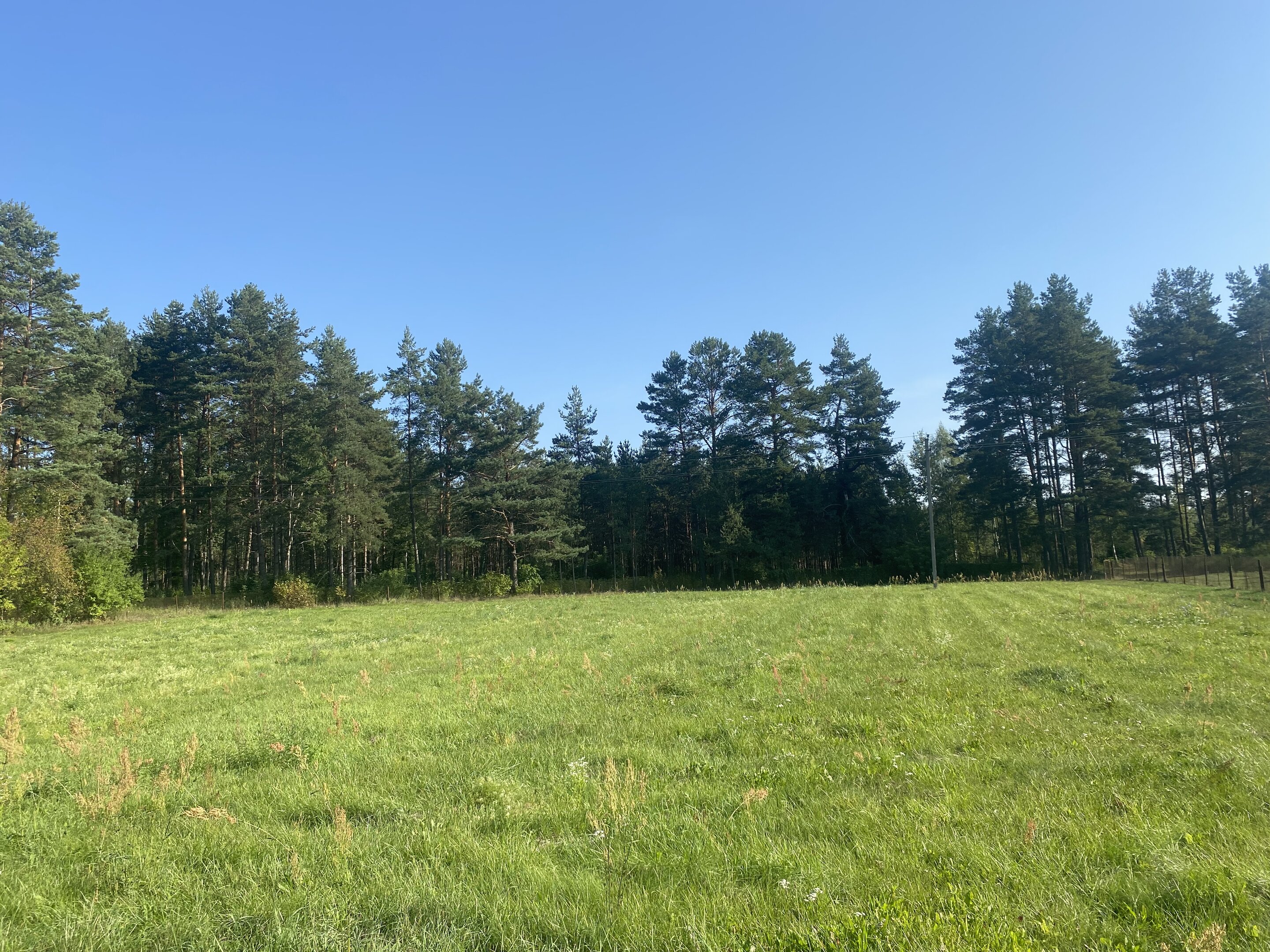 Sklypas Druskininkų sav., Naujasodėje – nuotrauka 3