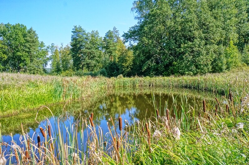 Sklypas Ignalinos rajono sav., Janionyse – nuotrauka 5