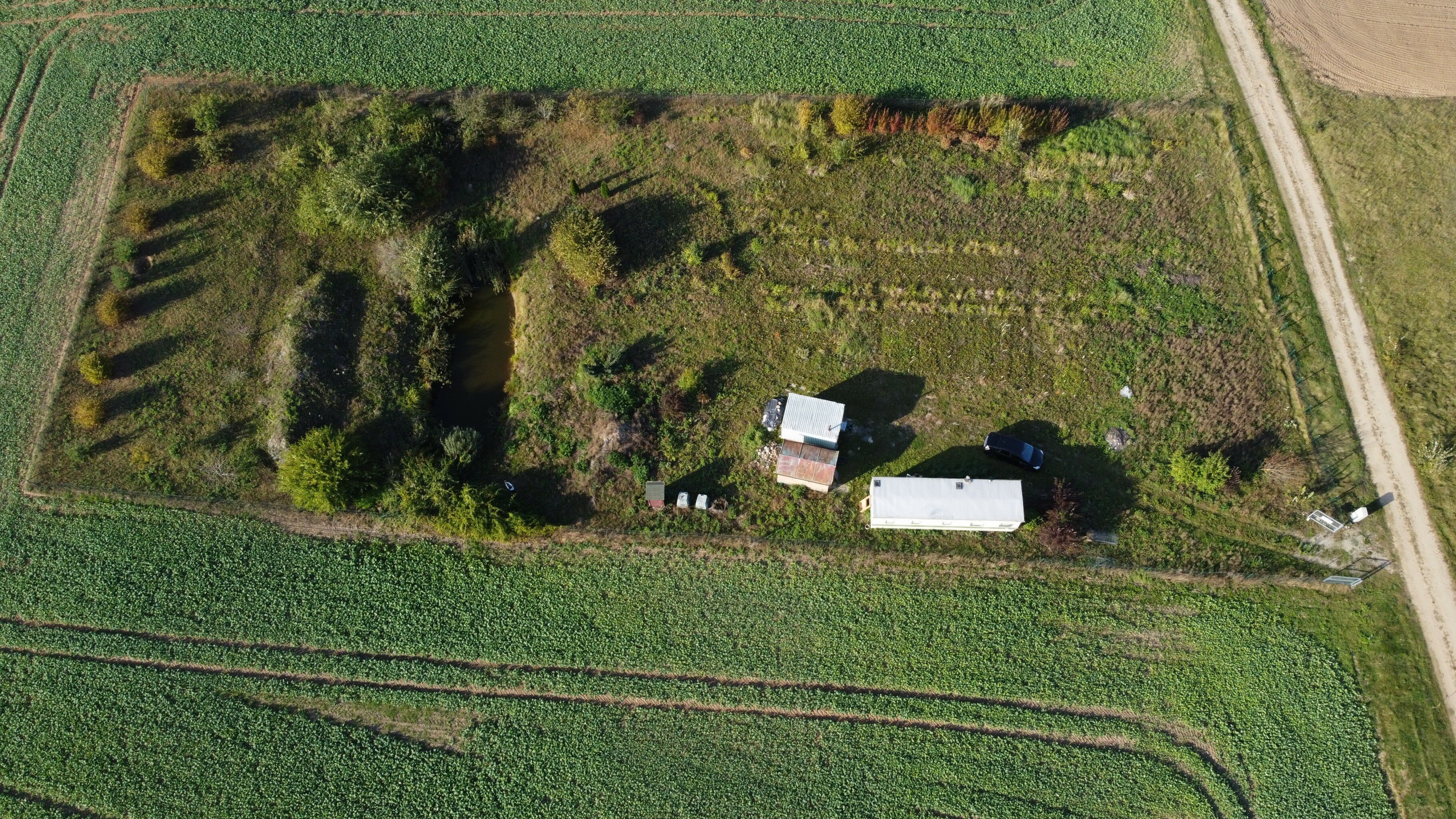 Sklypas Alytaus rajono sav., Davainiškėse, Daugų g. – nuotrauka 3