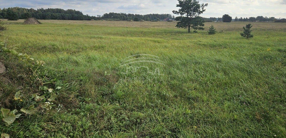 Участок Klaipėda, Klaipėdoje – изображение 2