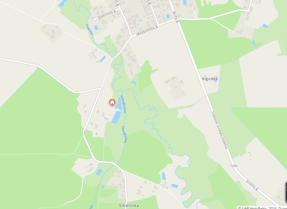 Sklypas Kupiškio rajono sav., Paviešintyje – nuotrauka 5