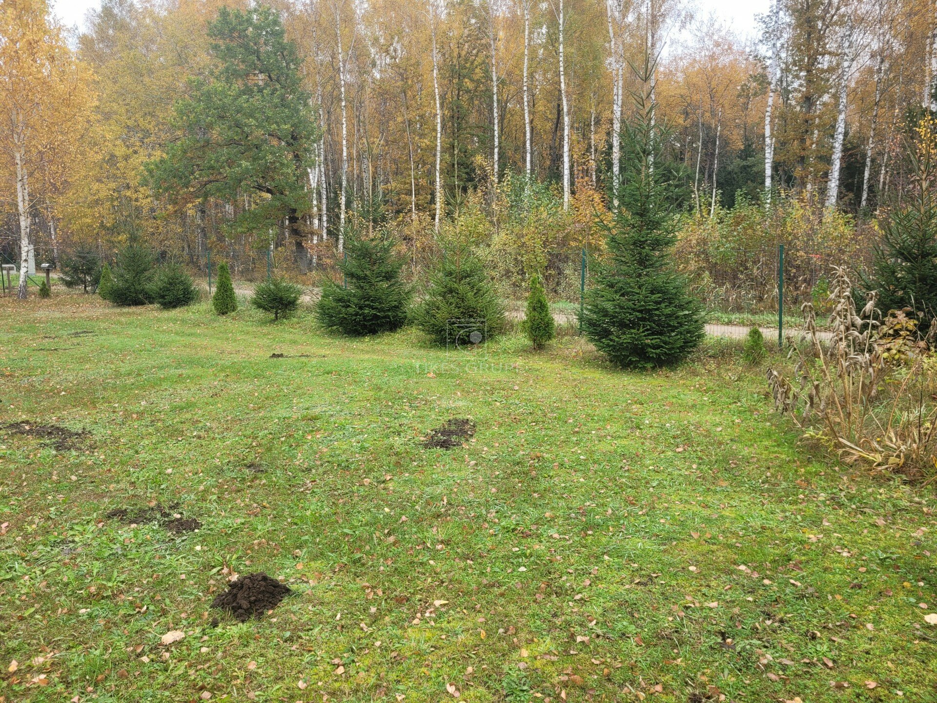 Sklypas Klaipėdos rajono sav. – nuotrauka 4