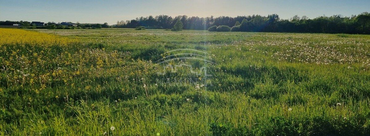 Участок Klaipėdos rajono sav., Kuliškiuose – изображение 4