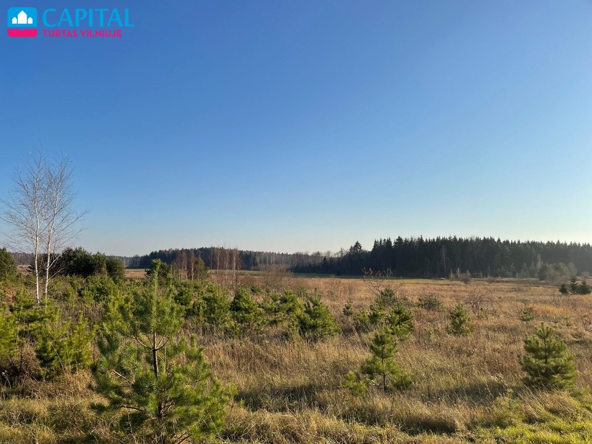 Sklypas Vilniaus rajono sav., Mickūnuose, Dėdoniškių g. – nuotrauka 3
