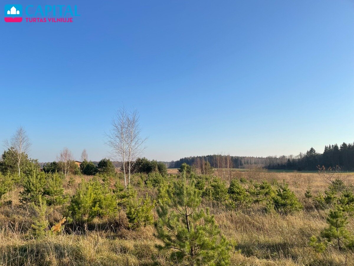 Sklypas Vilniaus rajono sav., Mickūnuose, Dėdoniškių g. – nuotrauka 4