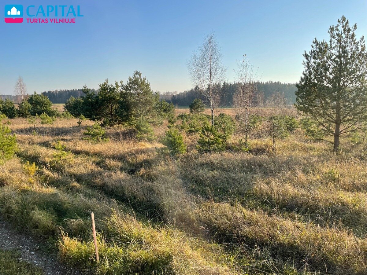 Sklypas Vilniaus rajono sav., Mickūnuose, Dėdoniškių g. – nuotrauka 5