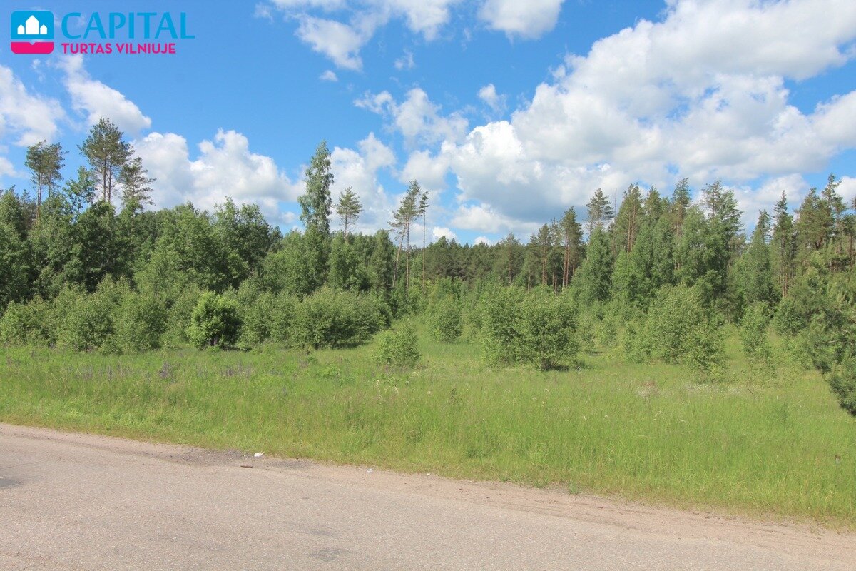 Sklypas Vilniaus rajono sav., Mickūnuose, Dėdoniškių g. – nuotrauka 5