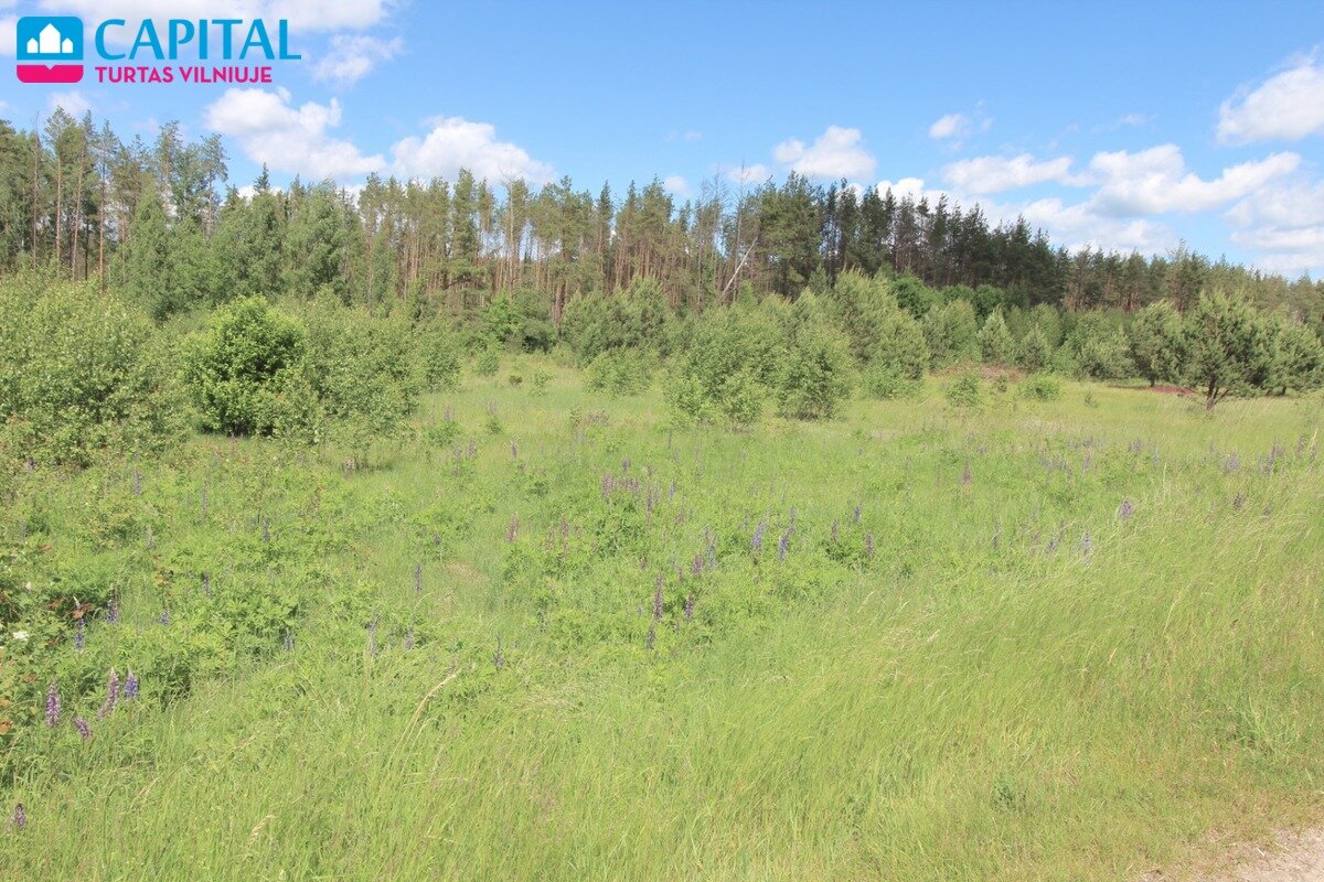 Sklypas Vilniaus rajono sav., Mickūnuose, Dėdoniškių g. – nuotrauka 6
