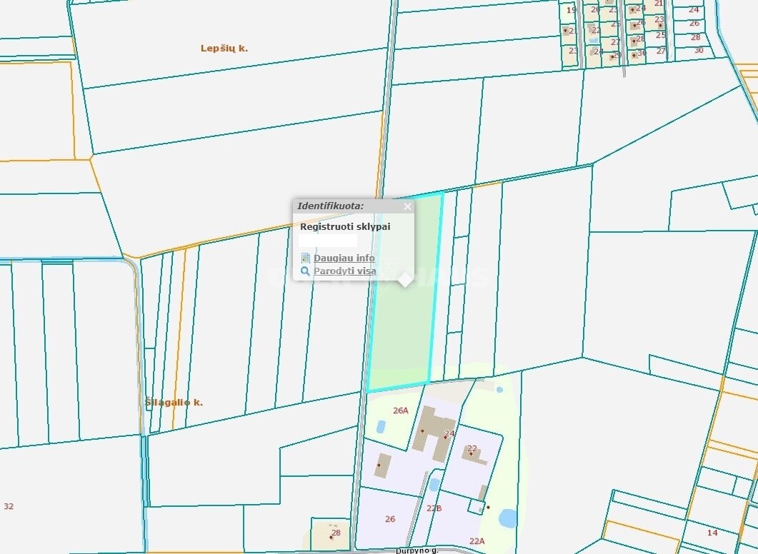 Sklypas Panevėžio rajono sav., Šilagalyje – nuotrauka 5
