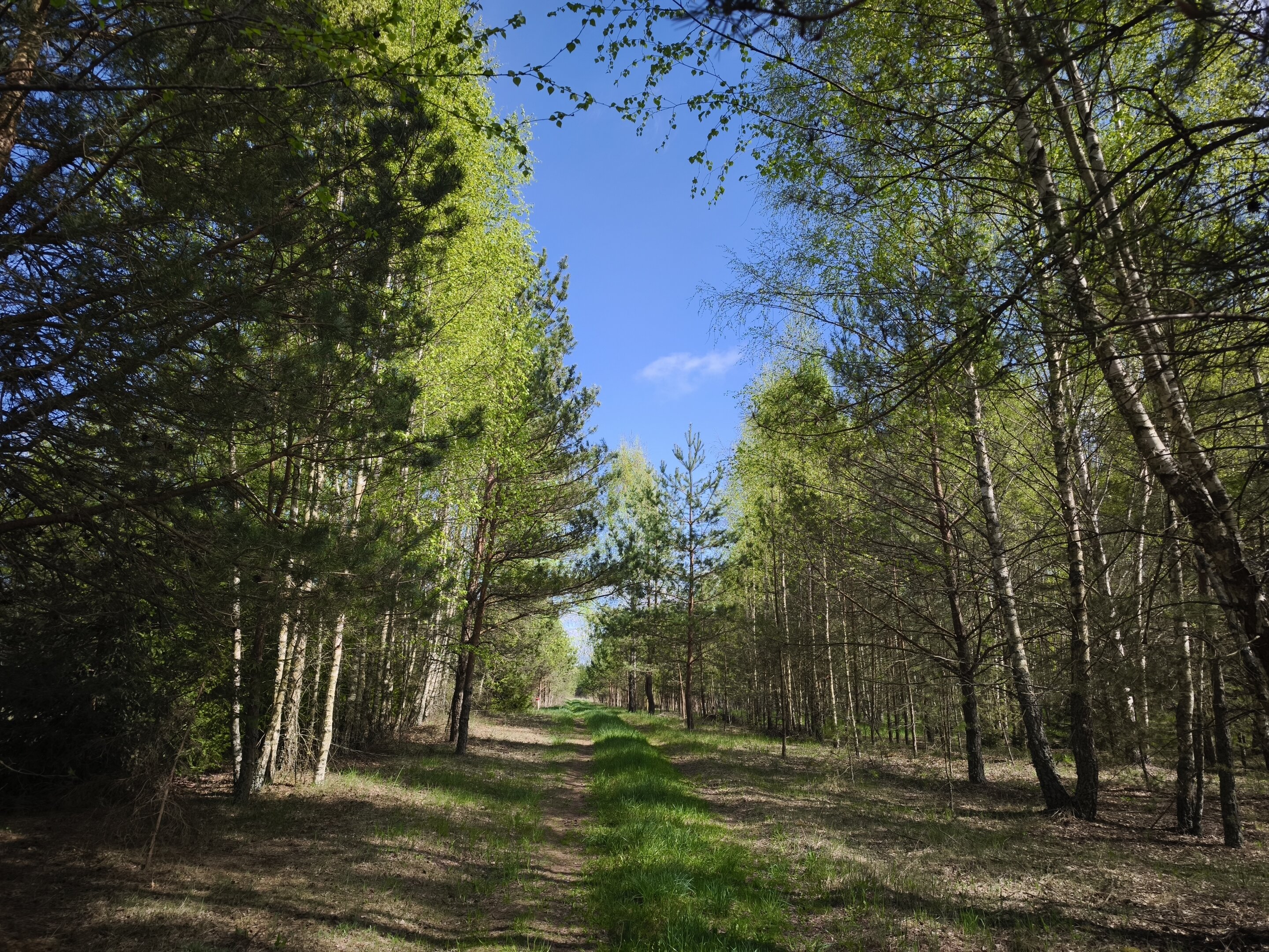Sklypas Molėtų rajono sav., Pabaldiškyje – nuotrauka 3