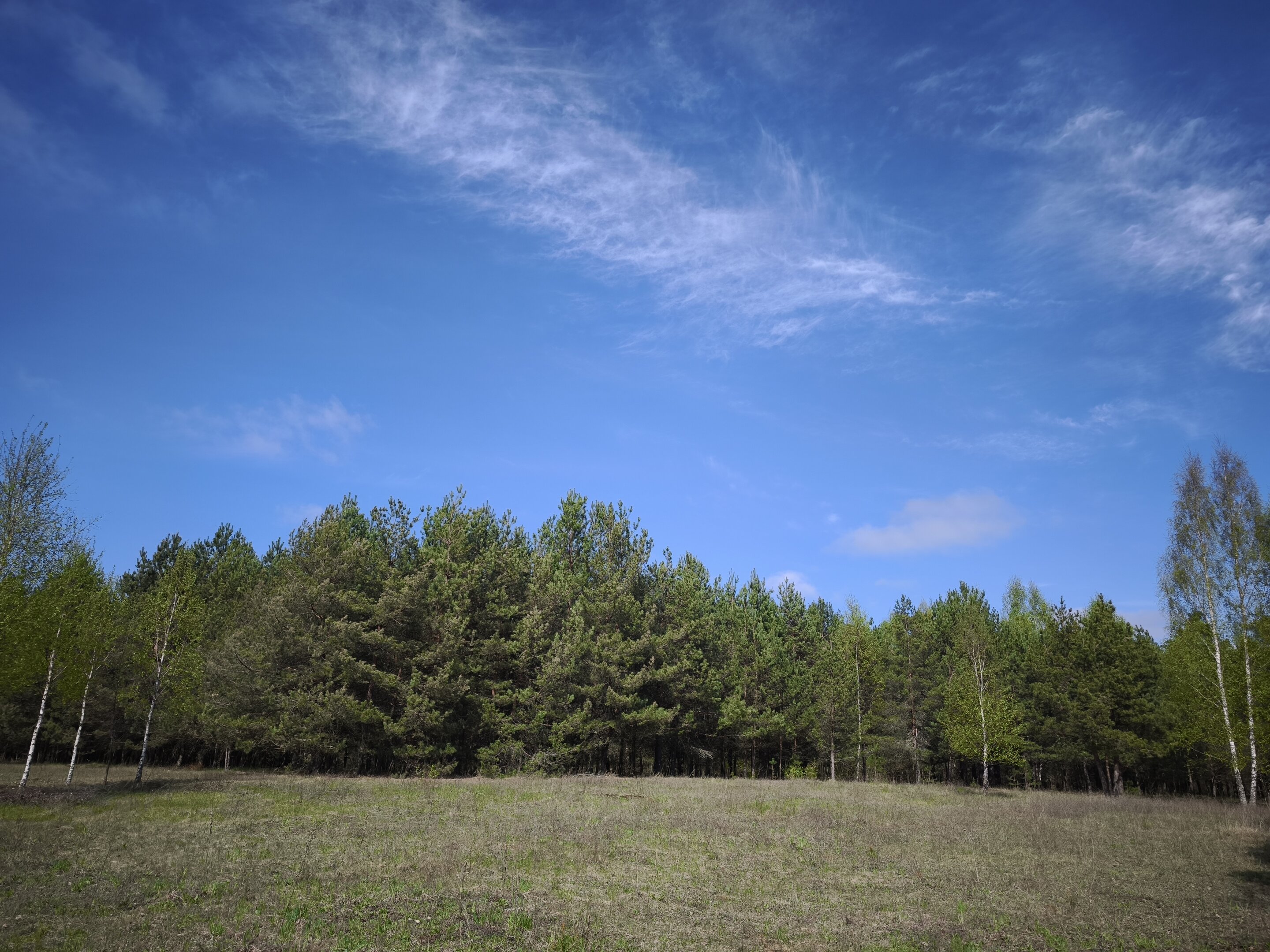 Sklypas Molėtų rajono sav., Pabaldiškyje – nuotrauka 4