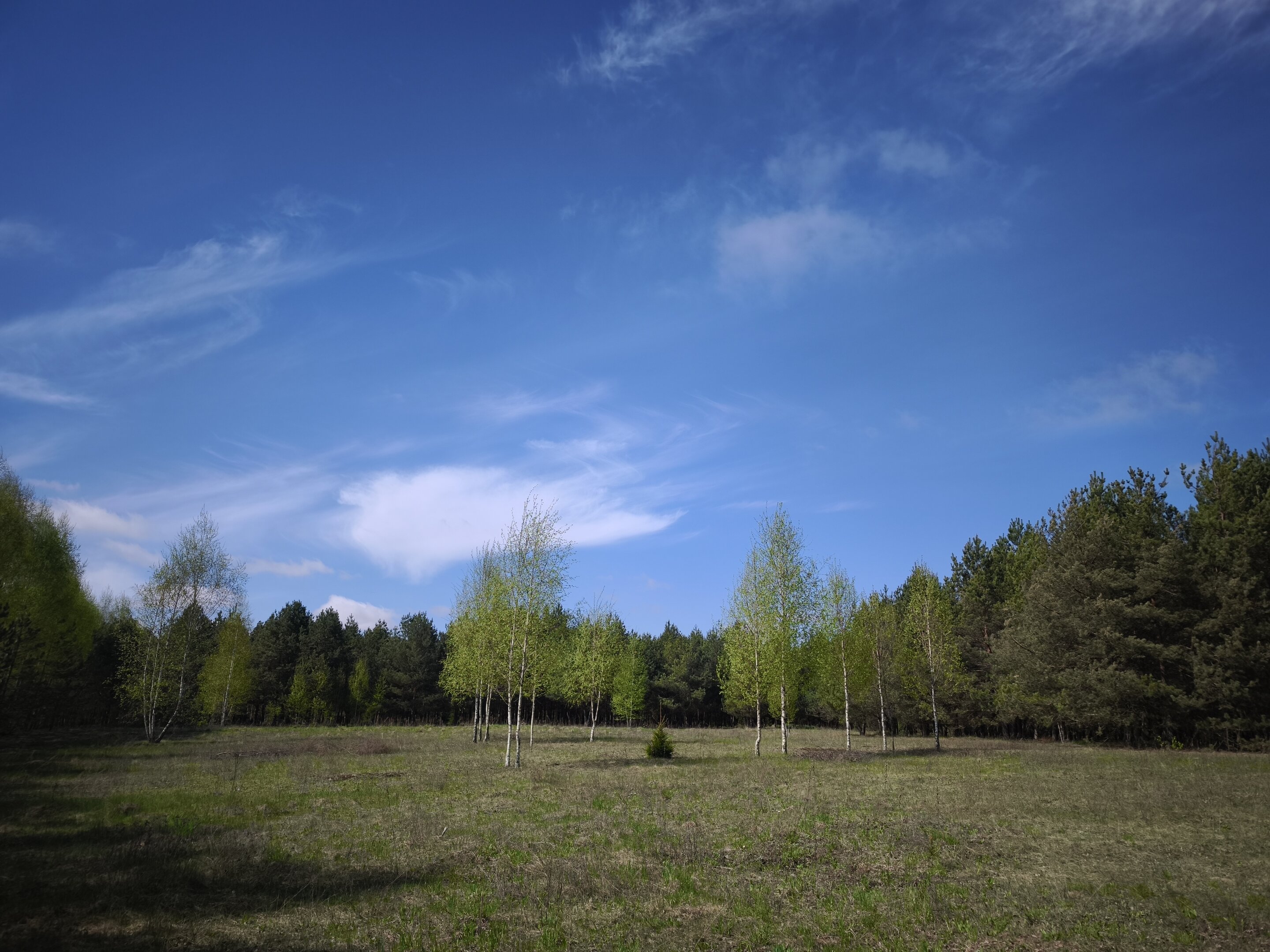 Sklypas Molėtų rajono sav., Pabaldiškyje – nuotrauka 5