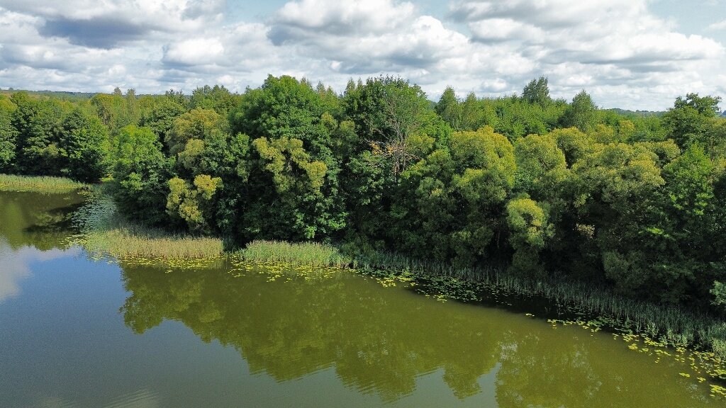 Sklypas Ignalinos rajono sav., Bikėnuose – nuotrauka 5