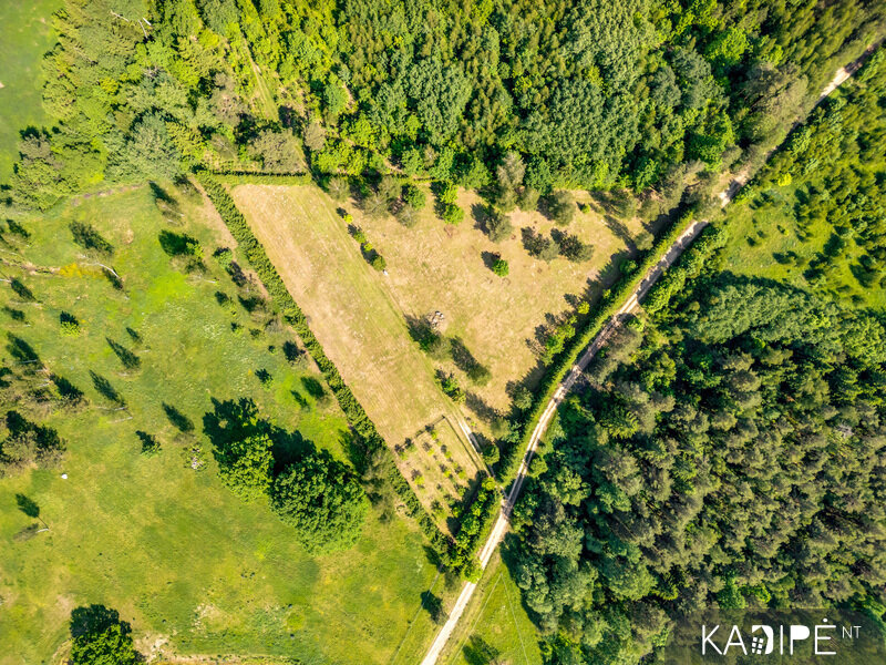 Sklypas Vilniaus rajono sav., Dėdoniškėse – nuotrauka 4