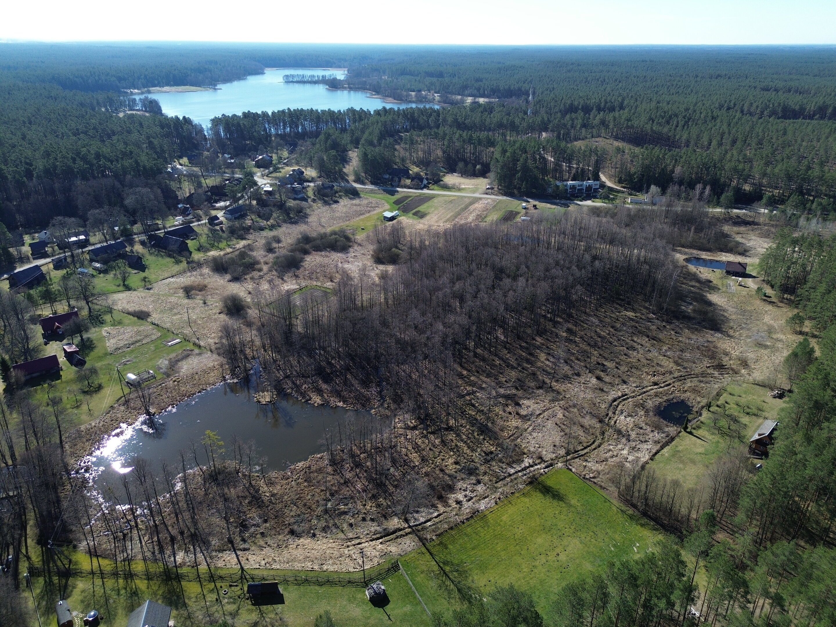 Sklypas Druskininkų sav., Latežeryje – nuotrauka 1